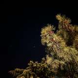 violinisnotinterested from onlyfans